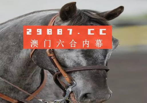 澳门一一码一特一中准选今晚-构建解答落实，实用释义解释落实
