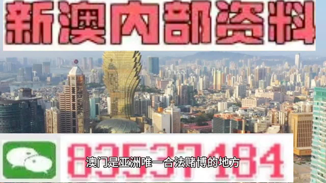 新澳门内部精准10码|精选资料解析大全