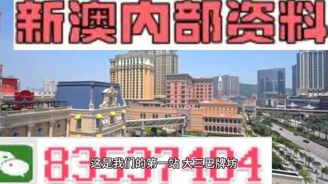2024新澳门正版免费资料车|精选资料解析大全