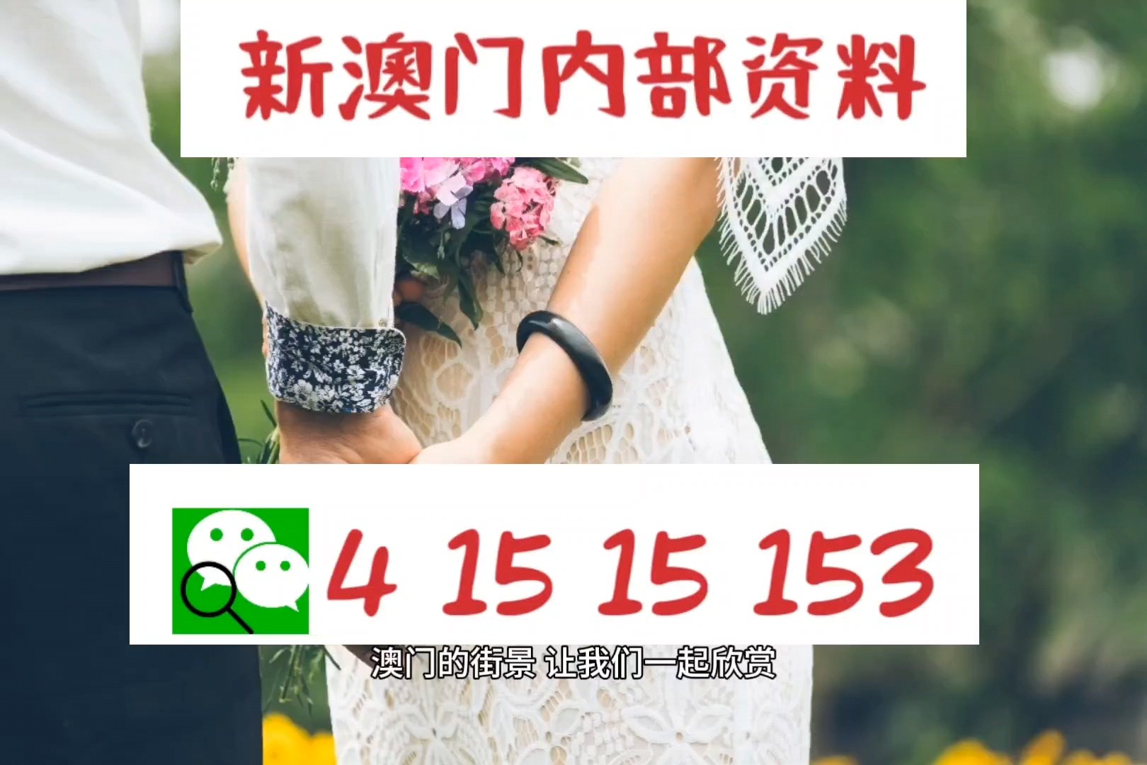 新澳最新版资料心水 |精选资料解析大全