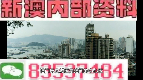 新澳门2024资料免费大全版 |精选资料解析大全